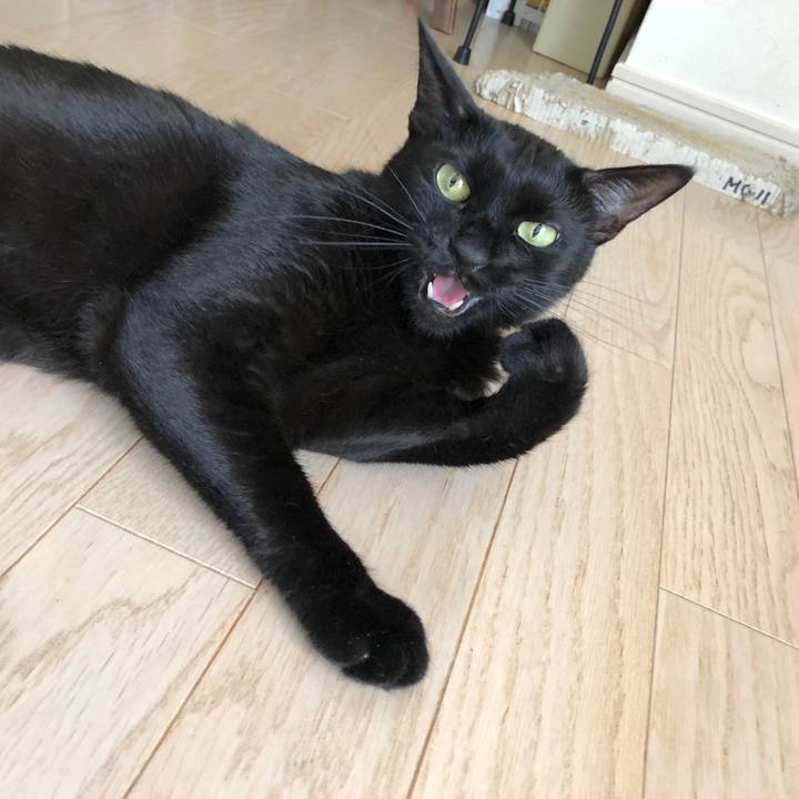 7d43049a 25e7 43af b3cd 80b618341645 1527381867905