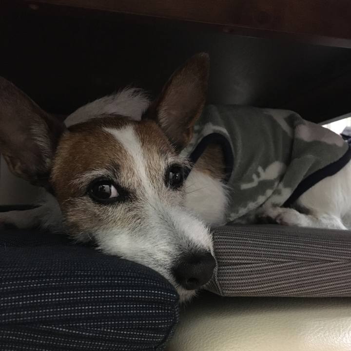 7d435770 705e 4994 ae00 096743a59ecc 1611448180781