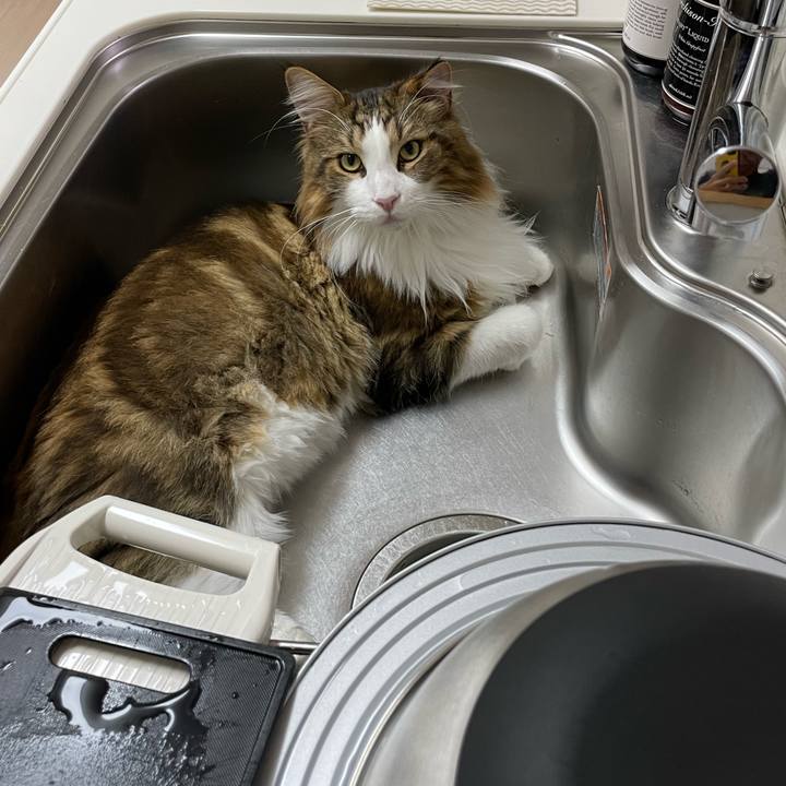 7d435ba6 e9c4 431a 8ad9 999cc6654c05 1664834618325