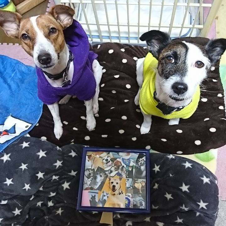 7d4368a7 205d 4e4e 8e13 bdc3c601bd2f 1544802792782