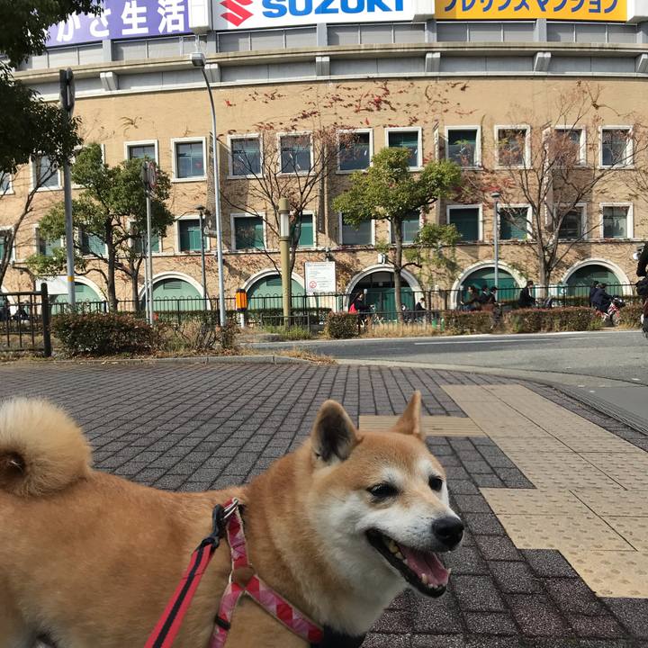 7d436d59 434d 4893 9b38 d49554d6644b 1544074505013