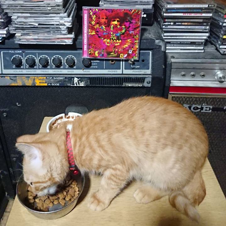 7d437087 d3a1 42e6 bdb9 0813e578d600 1632570251547