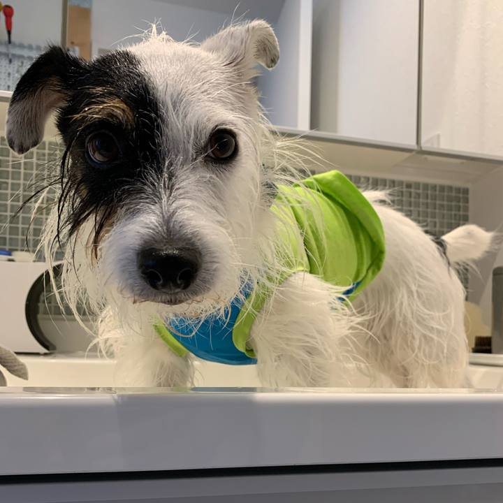 7d437a56 3df1 43d1 9890 4977184e9657 1665359485745