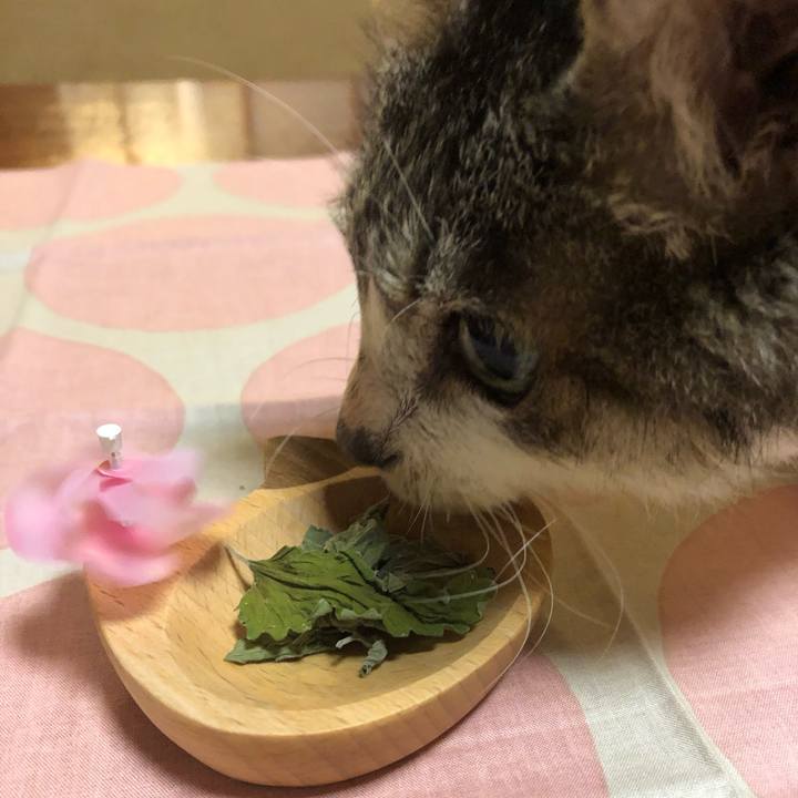 7d43c9aa 95d1 4cfd be5e 3e099aa2fc7f 1625090410115