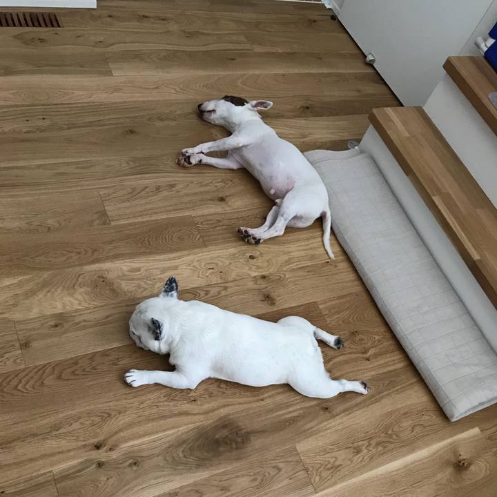 7d43d6f0 5998 4ca0 934a 76db875b04a6 1568255891323