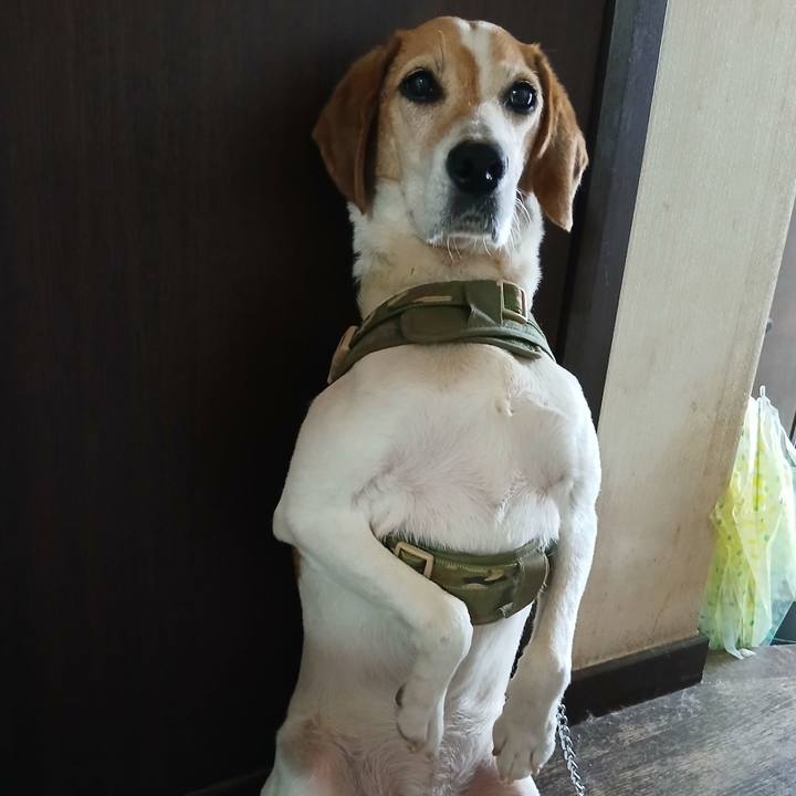 7d43e8ec 0ad5 43eb bf82 55242d148fbc 1750571800406