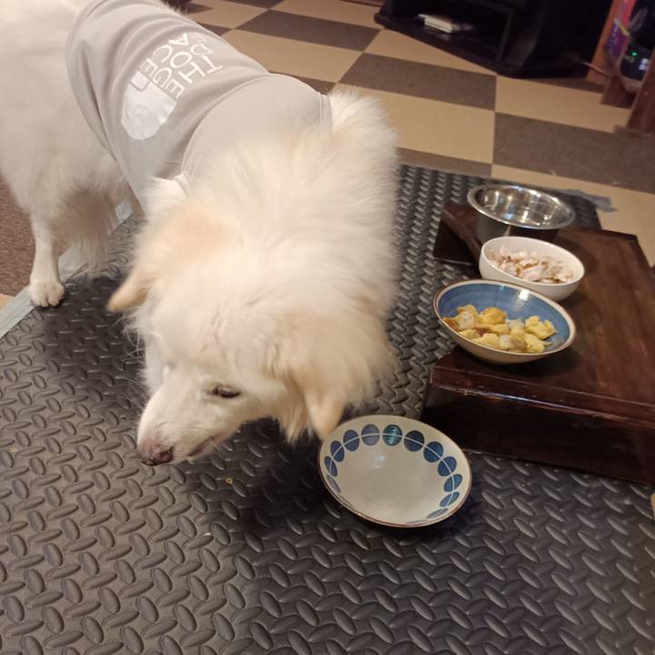 7d43ead9 01d1 4726 9c57 37984821f88a 1757450545924