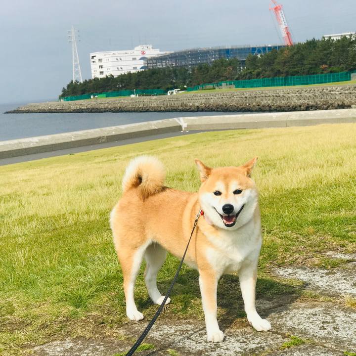 7d440ad7 c7ae 4cb8 b664 7169f6f024c3 1559347654539