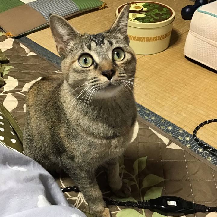 7d4497a9 c6c7 43e6 b81e 74831f321aad 1576626299936