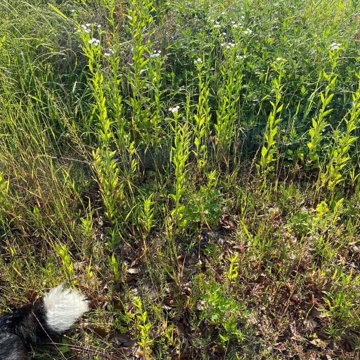 7d44c029 df76 40b8 a06e 7bb2ae36515c 1590622429562