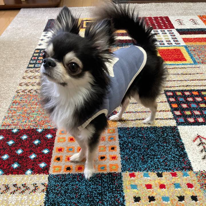 7d44e03d b5ce 4c5f 9eda 40ab2deb097e 1700717238064