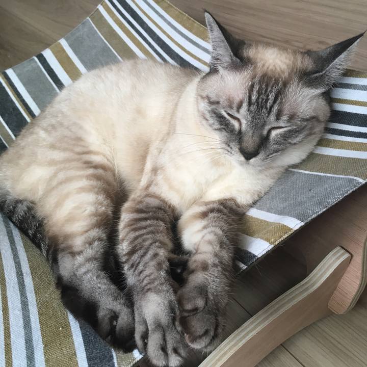 7d44f01f 9e51 4497 9b0b 29e5e4960574 1594088704497