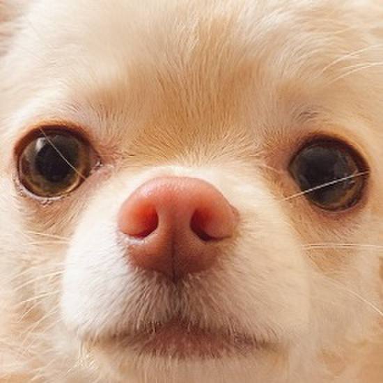 7d450878 2242 4b0e 8f75 8bb44c8bede1 1610279829431