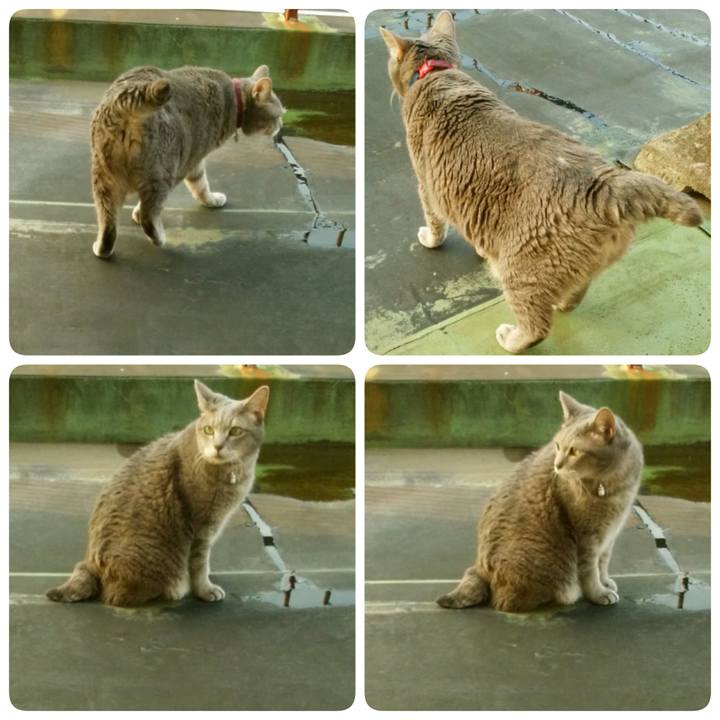 7d451710 341b 40db 8910 9ffb41441234 1532206493061