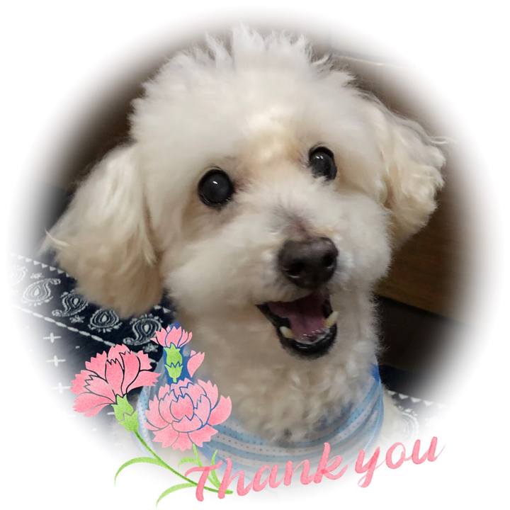 7d451bb6 70fd 4bb5 a4aa 90bdbb473e34 1557587187900