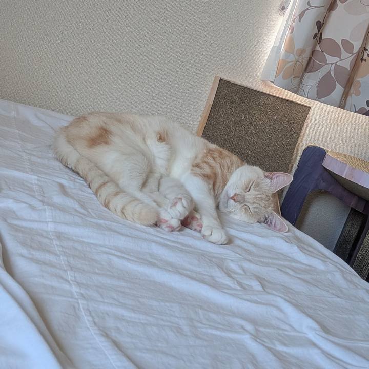 7d452cc0 5faf 4238 83fc 574e08fa8e0d 1753480370419