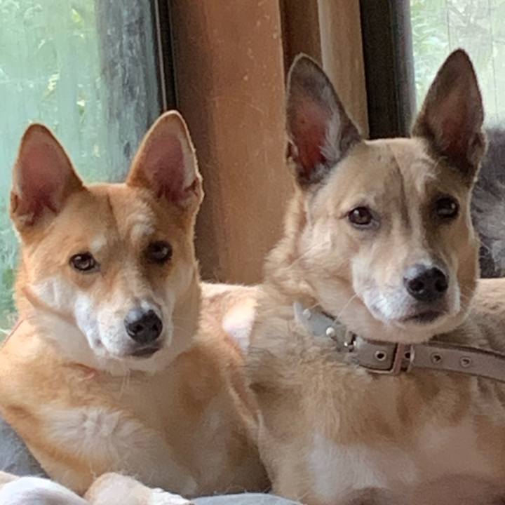 7d454777 dee8 4537 8d6a f2942fa602a2 1604112368175