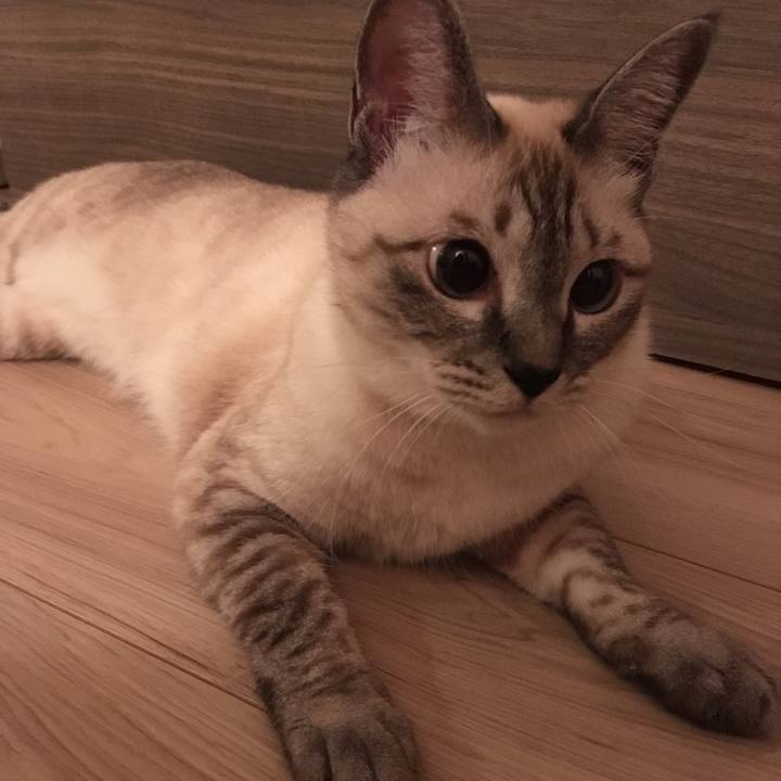 7d455200 1823 47e5 9663 2fbb4a3a2511 1568377342999