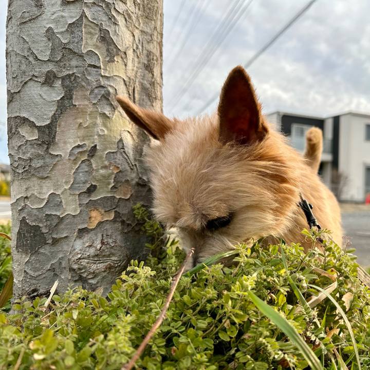 7d458408 0a37 4efe 8f3f a76be8a64fa2 1710812877997