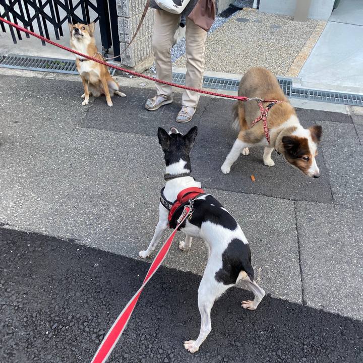 7d459616 c9dd 4b97 b6d9 5e346ce6a4ad 1602026025755