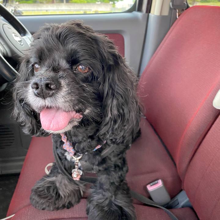 7d45d0a9 5043 49b9 958a 064b752ee896 1652610943367