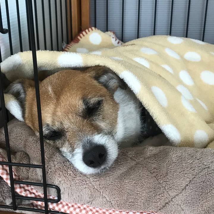 7d45ee3d af42 4102 afd1 e6e330cf9786 1521078159269