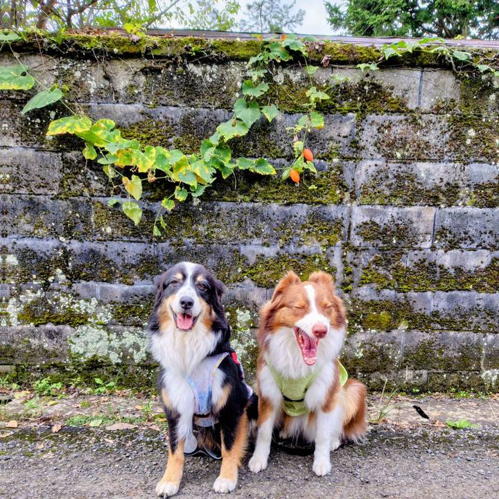 7d462380 50bb 40c9 9491 9444f677a716 1762943285033