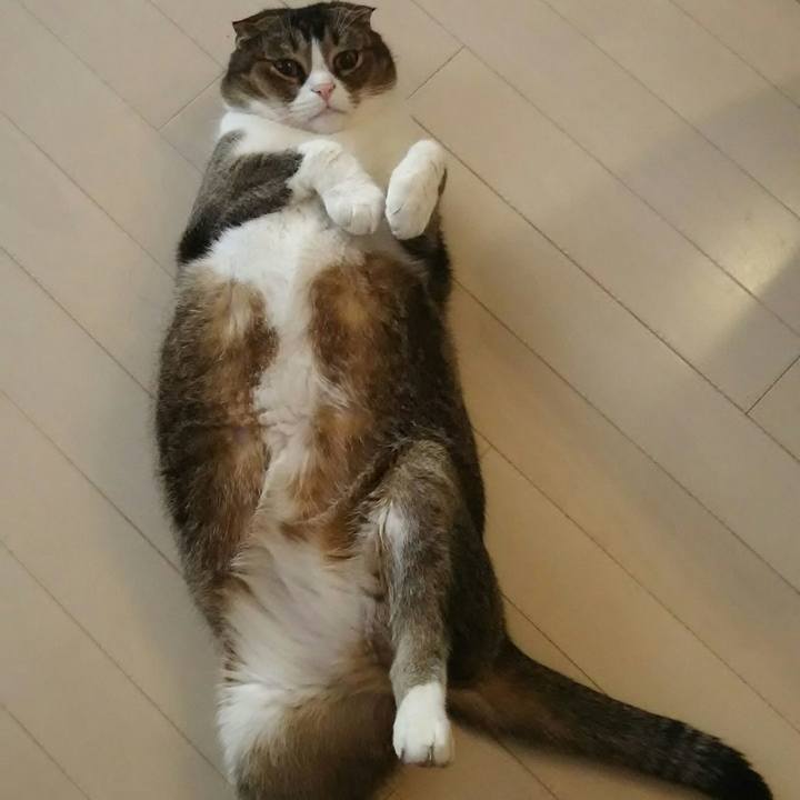 7d463966 198a 487e 917a 24a65a645143 1547855017419