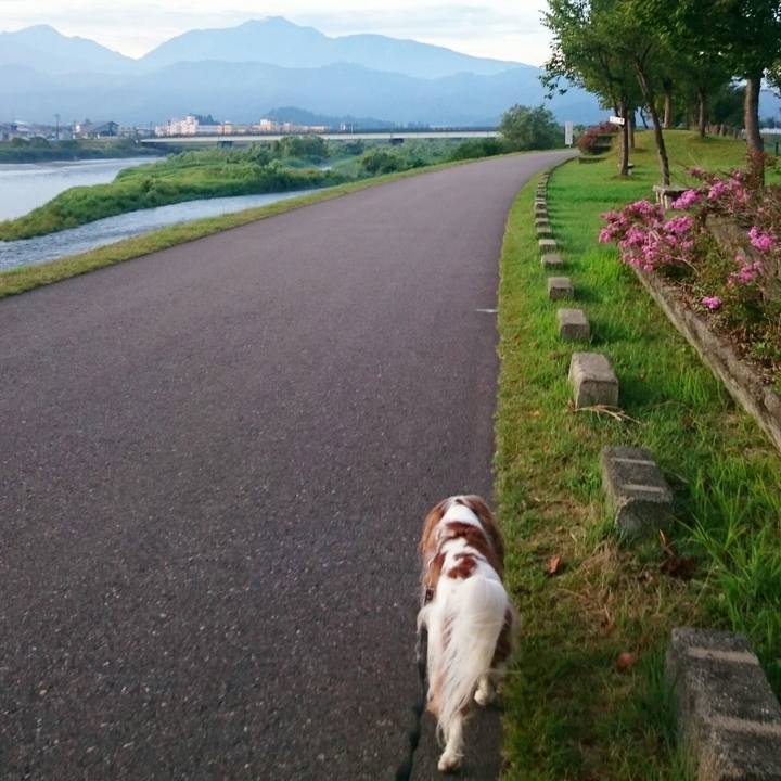 7d46629b bbbc 40b7 b1c0 28f24585faf0 1534803221318