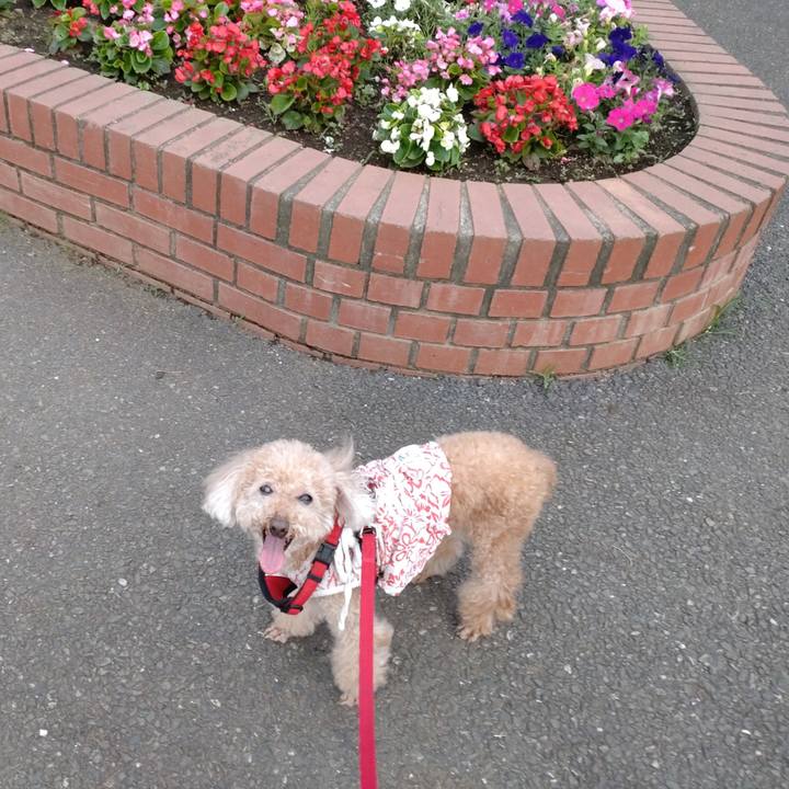 7d468f58 0375 4946 ad63 5f9b0be08737 1655636492066