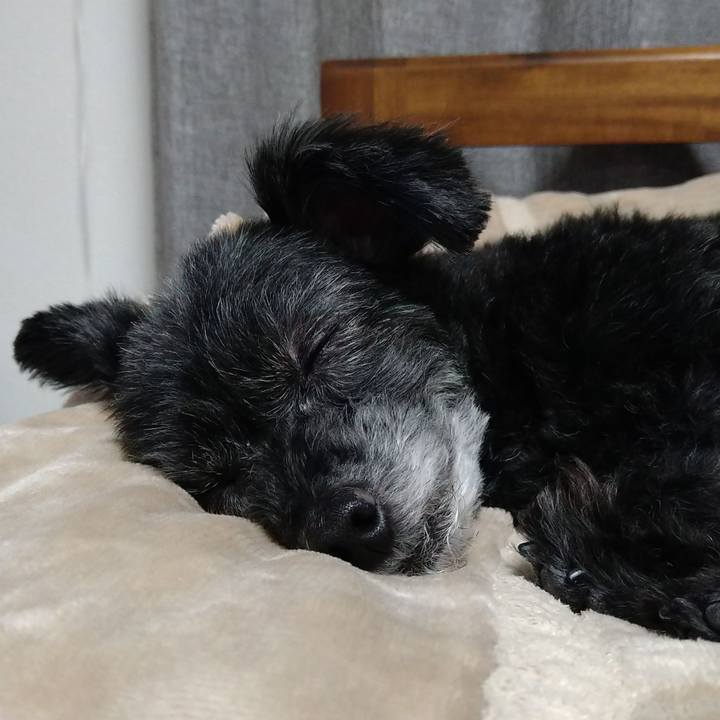 7d46d227 6143 49d1 83cc aa9707fd0fb0 1677418884805