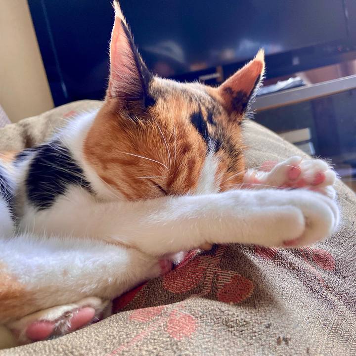 7d46eeeb 8d9e 4e7b 9b41 0de940b66fa5 1661764276494