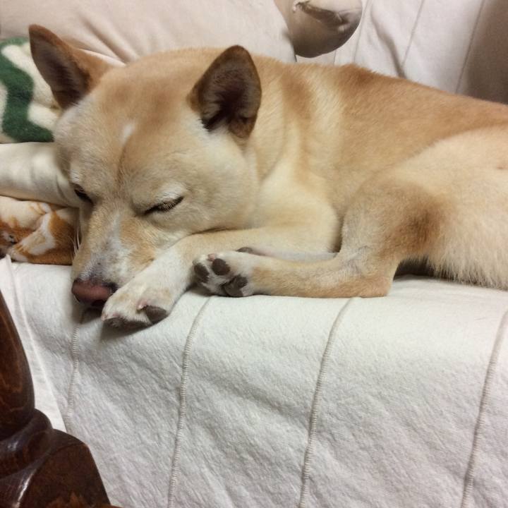 7d46fb2d ce47 448d 9e60 0f806adc3963 1535457102093