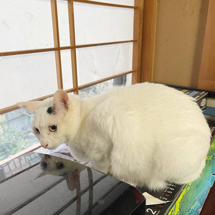 7d46fd75 4298 4941 b19a 26f65d124961 1767739770428