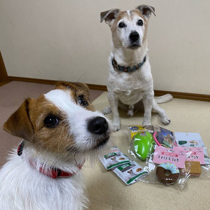 7d47007b 8c46 466e a3fd 1924f1635031 1640466353141