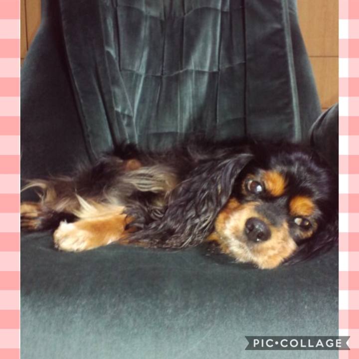 7d471316 0cc2 455d a743 c7acba8d08b1 1594279320166