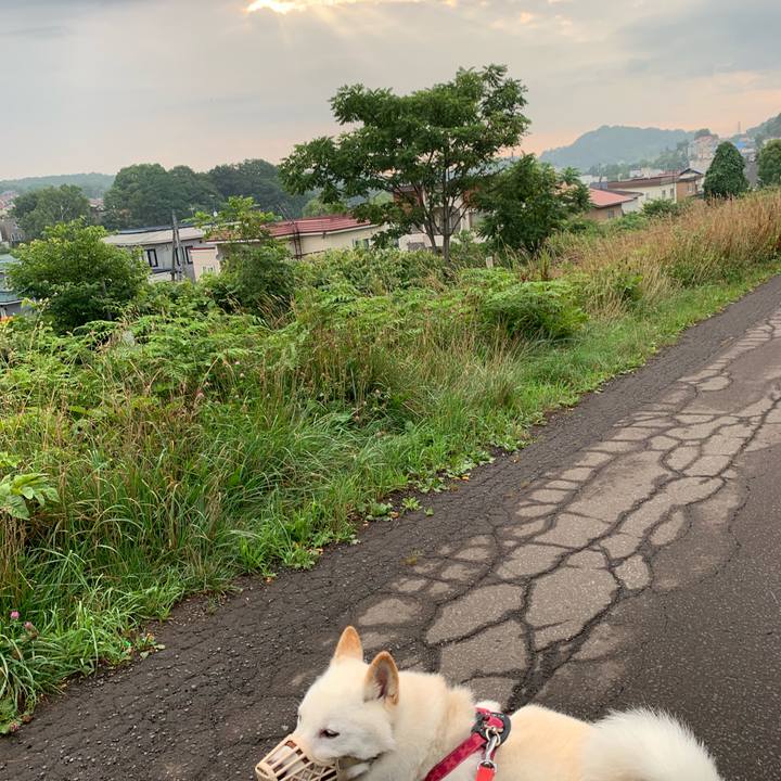 7d473318 7319 48b3 8f52 4684d4793130 1564618146108