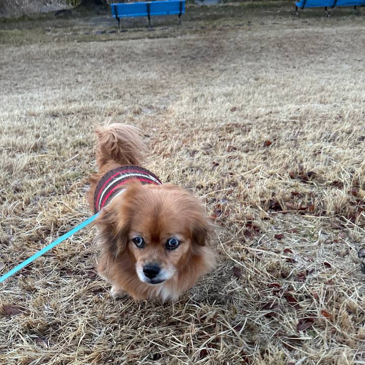 7d476463 236c 4c53 b140 2fb580b4bbd8 1740778602725