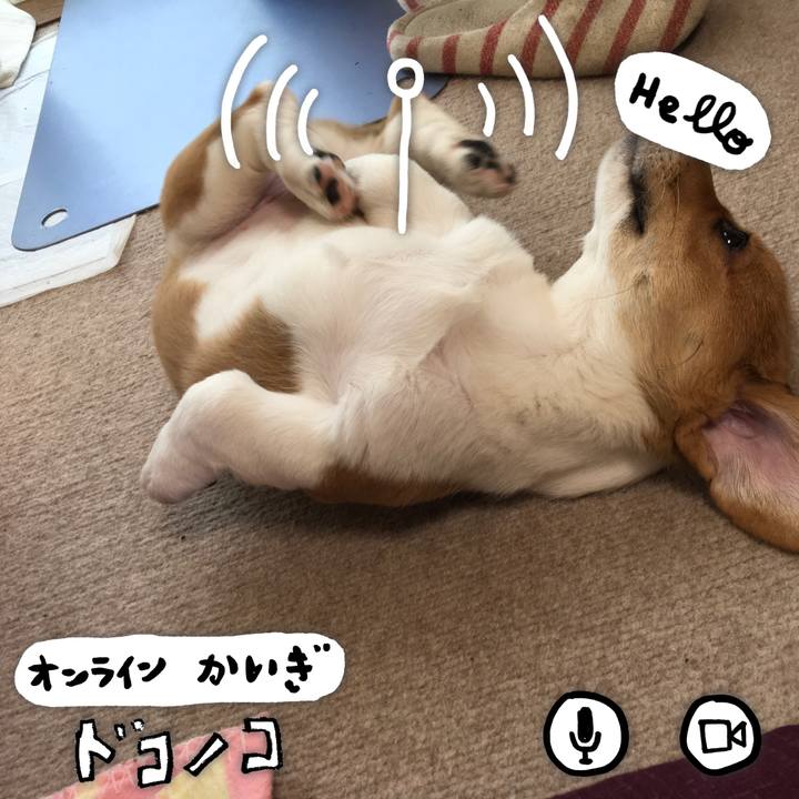 7d4765fa 4f8f 454b 87b0 acb794692dde 1590714895408