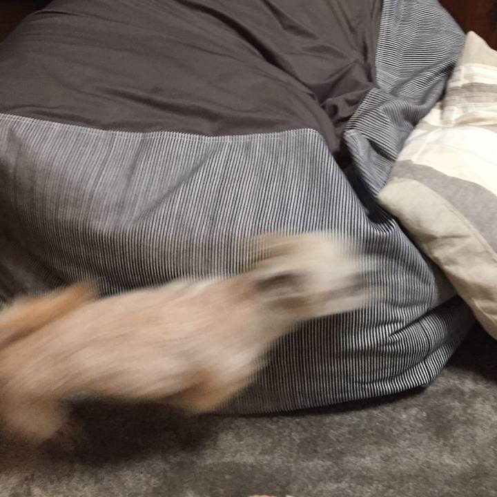 7d47b5a3 7837 4d07 8e60 70a94abfb0d0 1534416572691