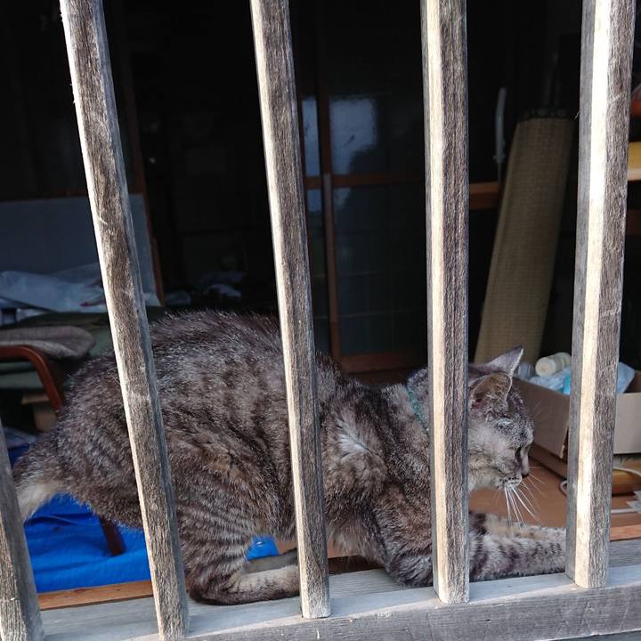 7d47d90c f7ba 4afe 9d79 37eadac60d9f 1570263021070