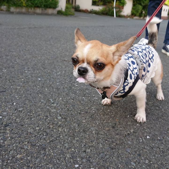 7d47e018 ea0b 4807 aa66 148917fb8999 1557357020739