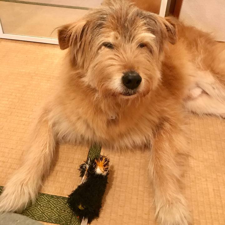 7d482107 769a 4a65 a362 e83b040da90e 1615866161238