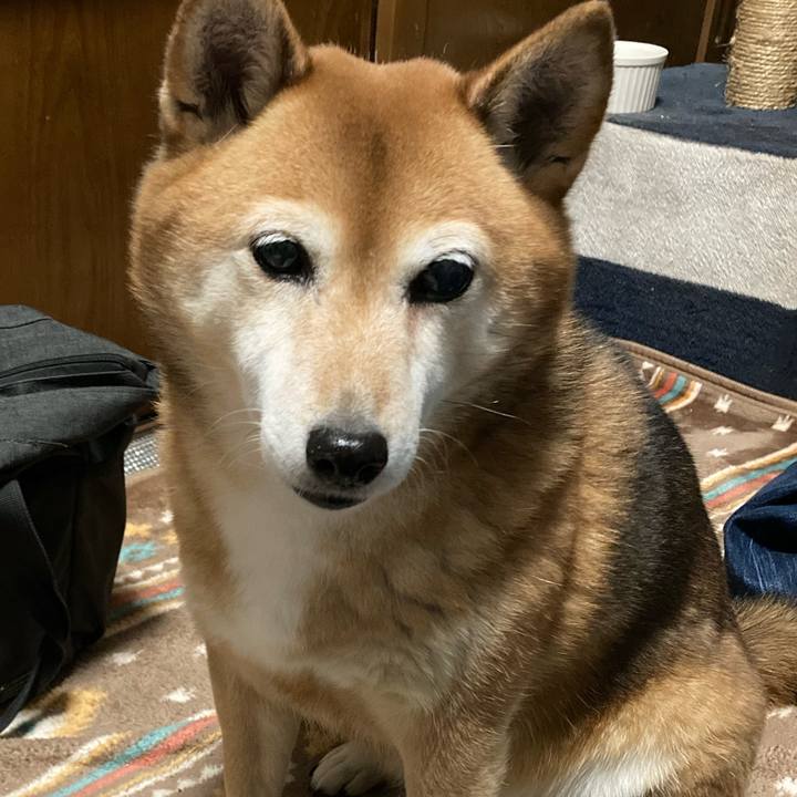 7d4856e3 5fbc 409c a803 77529b8516f9 1637661338968