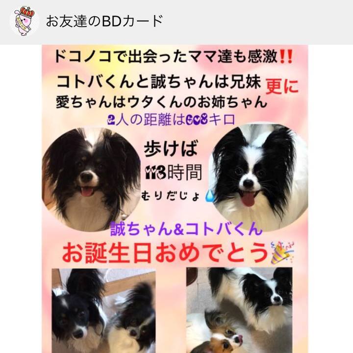 7d489cc8 ae2e 41f9 b7dc ed3489b612fa 1534658791529