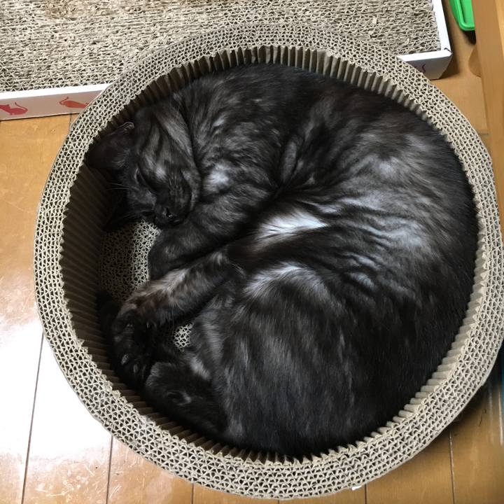 7d48a711 15d1 4f08 8801 2943d70e0973 1564237007219