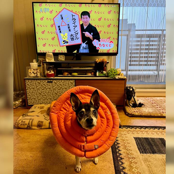 7d48b7d8 a7d1 4940 8256 adb423502467 1641247598806