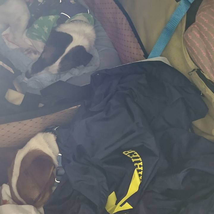 7d490dde 9426 47f9 a2f7 eecd32faaf7e 1633792424317