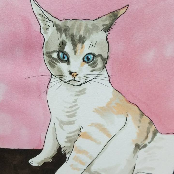 7d4921a2 c0f5 488c 9e74 7f96d6a9aa80 1538909979490