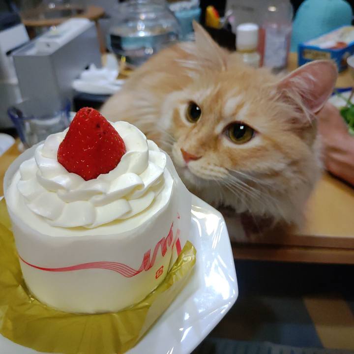 7d492ea6 9b72 4b46 9b47 e37425d0ace2 1693058412888